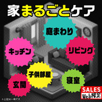 アース製薬 ギドラクス GiDORAX ハエ蚊用スプレー 480mL 蚊 ゴキブリ 殺虫剤 932906 1本