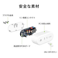 電源プラグ スマートプラグ 電源タップ 2P式 遠隔操作対応 スマホ・音声操作 タイマー設定 GOSUND WP6-1 1個