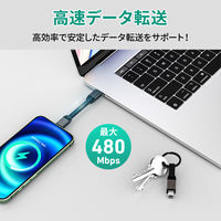ライトニングケーブル 0.1m 持ち運び特化 USB（C）[オス] - Lightning[オス] CB-CL16-BK 1個