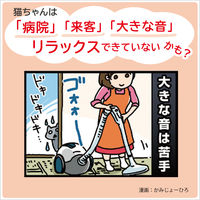 ミャウミャウ クリーミー 15歳からの ほたて風味 国産 40g 12袋 キャットフード 猫 ウェット パウチ