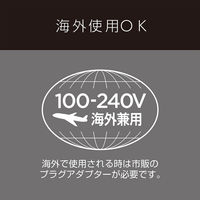 カールアイロン VSIー3213/KJ 1台