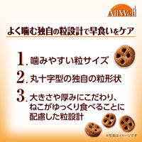 オールウェル 早食いが気になる猫用 フィッシュ味 国産 2.4kg（小分け 480g×5袋）3袋 キャットフード 猫 ドライ
