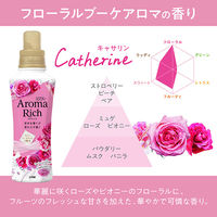 ソフラン アロマリッチ キャサリン 詰め替え ウルトラジャンボ 1520ｍL 1セット（3個） 柔軟剤 ライオン