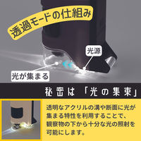 レイメイ藤井 ハンディ顕微鏡 DX ベージュ RXT1144J 1個