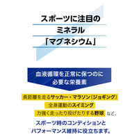 【アウトレット】スポーツミネラル MGウォーター（マグネシウムウォーター）LIGHT 500ml 1セット（48本）
