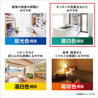 LED電球 E26 パナソニック パルック プレミアX 40W形 昼白色 全配光 Ra90 LDA4NDGSZ4F 1個