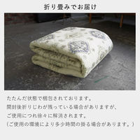 ERARE DICTUM マイクロプリントパイルラグ 1400×2000mm ベージュ 4571581811911 1枚（直送品）