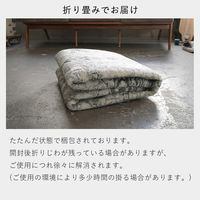 ERARE DICTUM マイクロプリントパイルラグ 1400×2000mm グレー 4573109309849 1枚（直送品）