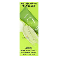 beplain（ビープレーン） グリーンフル弱酸性クレンジングフォーム 80g 韓国コスメ 洗顔料 洗顔フォーム