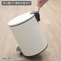 テラモト ペダルボックス(静音タイプ) ブラック 3L DS2387037 1個