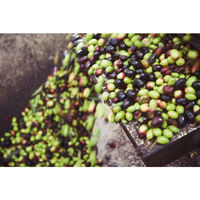 ALCE NERO（アルチェネロ） イタリア産 有機エキストラバージンオリーブオイル ドルチェ 500ml 5本