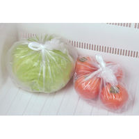 鮮度保持ポリ袋 半透明 430×240×60mm厚さ0.009mm L 5箱（40枚入×5）高密度ポリエチレンストリックスデザイン