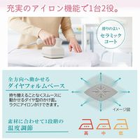 日立 衣類スチーマー CSI-RX70 C 1台