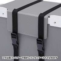 サンワサプライ プラダン製iPad収納ケース（10台用） 幅240×奥行360×高さ380mm CAI-CAB19 1台（直送品）