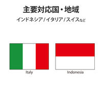 海外用変換プラグ コンセント Cタイプ 1個口 T-HPACWH エレコム 1個