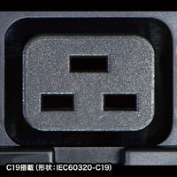 サンワサプライ 19インチサーバーラック用コンセント 200V（30A） TAP-SV23020C19（直送品）