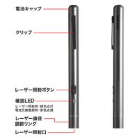 サンワサプライ 照射径可変グリーンレーザーポインター LP-GL1019BK 1個（直送品）