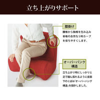 MTG Dr. Chair茶 ST-DC2039F-B 1個