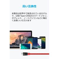 Anker USB Type-Cケーブル 1.8m 高耐久 PowerLine+ USB3.0 レッド A8169091 1本