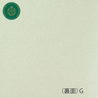 【並行輸入品】川島織物セルコン シートクッション LN1221 45×43cm G ミントン LN1221_98G 1枚