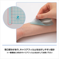 ニチバン カテリープ FSロール 100mm×10m No.1010　1箱（1巻入）×5個