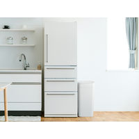 Like-it（ライクイット） シールズ45 密閉ダストボックス ホワイト ゴミ箱 LBD-03 1個