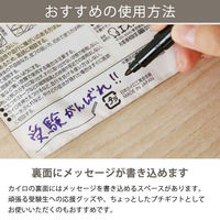 貼る カイロ 1個（60枚入） レギュラーサイズ エステー  オリジナル（わけあり品）
