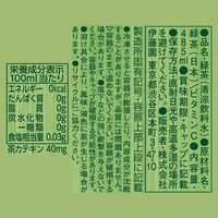 伊藤園 冷凍ボトル お～いお茶 485g 1箱（24本入）