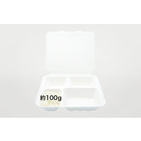 パックスタイル ABランチ 240-210-4 1箱（200枚：50枚入×4袋）