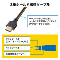 サンワサプライ HDMI延長ケーブル 1m KM-HD20-UEN10 1本