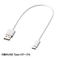 サンワサプライ Apple iPad専用充電式極細タッチペン(ホワイト) PDA-PEN56W 1本（直送品）