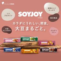 ソイジョイ　フルーツ＆ベイクドチーズ　1セット（48本）　栄養食品　低GI食品　大塚製薬