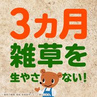 アースガーデン おうちの草コロリ 粒タイプ 除草剤 雑草対策 900g 1個 アース製薬