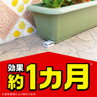 ムカデ 駆除剤 対策 置き型 ムカデコロリ 駆除エサ剤 屋外 室内 殺虫剤 毒餌剤 ベイト剤  1パック（8個入×2箱） アース製薬