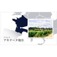 AoyamaLab ギフトカード　御中元熨斗　【サン・ダルフォーフルーツジャム284g 8種詰め合わせ 】用ギフトカード　二重封筒（直送品）