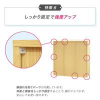 ネットフォース シューズラック 靴箱 3列3段 9人用 ブラウン NF-SR0909-9-AW 1台（直送品）