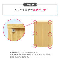 ネットフォース シューズラック 靴箱 2列3段 6人用 ホワイト NF-SR0609-6-AW 1台（直送品）