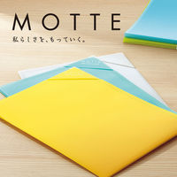 コクヨ ハードクリヤーホルダー<モッテ>(A3見開きサイズ) フ-LM755LG 1枚