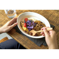 アイトー #0111110 カレット オーバルボウル GY 1個（直送品）