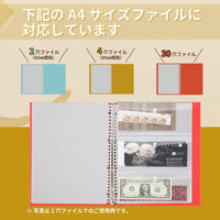 ライオン事務器 ポッケde整理 A4 マチ付 30穴 NP-3M 14733 1個(2枚)