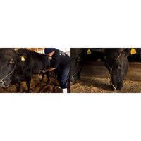 御歳暮 年末の贈り物 景品 山形 米沢牛黄木 しゃぶしゃぶ用 ロース600g ・肩ロース550g ギフトカード 二重封筒 熨斗 １式（直送品）