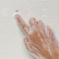 クロスパテ 5g カベ キズ 隠し 補修 パテ ビニールクロス 穴埋め 1個 日本ミラコン産業