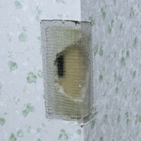 カベの抜け穴60分なおし 白・200g カベ 補修 パテ ビニールクロス 穴埋め 1個 日本ミラコン産業