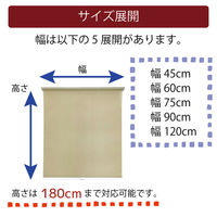 簡単目隠し「スチールラック用ロールスクリーン＜マグネット＞ エナメル」幅120cmｘ高さ180cm RK-1612-M 1セット トーソー（直送品）
