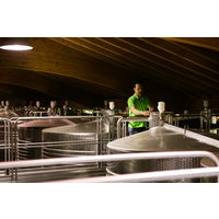 【ナチュラルワイン】イタリア　テッレ デイ ブース フリッツァンテ ビアンコ スパークリングワイン　白　辛口　750ml 1本　徳岡