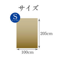西川 洗える 敷きパッド ふわふわ シングル 花ペイズリー柄 ブルー CM02042408 1枚（直送品）