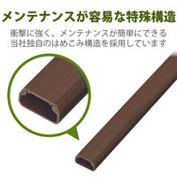 エレコム フラットモール(木目調)2 LD-GAF2/WD 1個