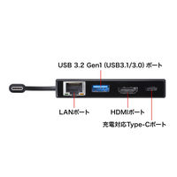 サンワサプライ USB Type-Cマルチ変換アダプタ AD-ALCMHL1BK 1個（直送品）