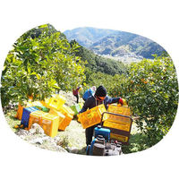 AoyamaLab オンラインギフト URLですぐ納品 贈り物や景品に 和歌山 伊藤農園 5種の柑橘ジュース メール1通（直送品）