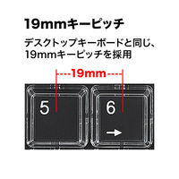 サンワサプライ プログラマブルテンキー NT-19UH2BKN2 1個（直送品）